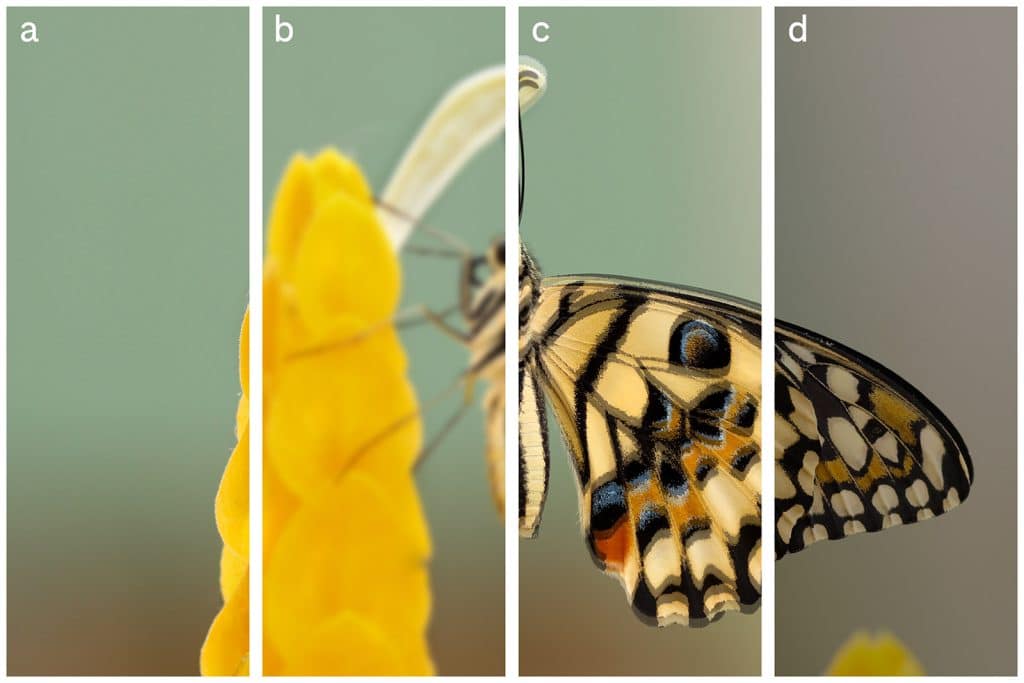 diabetiska-makulas-tuska-piemers-acu-veseliba